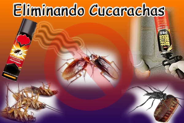 Cómo eliminar las cucarachas