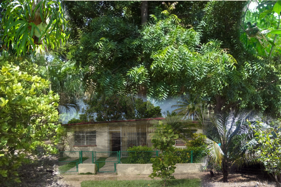la casita a lo lejos en el paraíso verde cubano