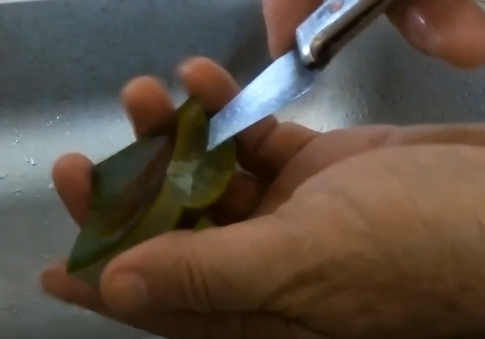 Masajes con Aloe Vera para la circulación