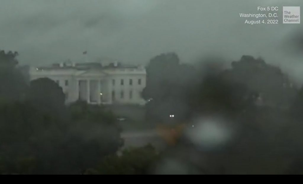  Se muestra una captura de imagen del vídeo del Canal del Tiempo para que se aprecien las copas redondeadas y altas de los árboles