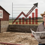 Fiebre porcina en España y su impacto en el precio del cerdo